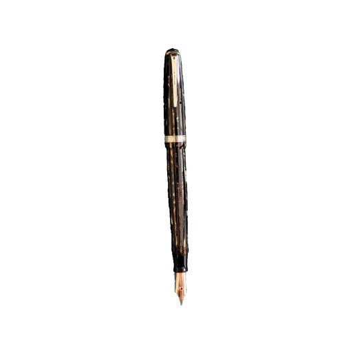 Penna stilografica vintage