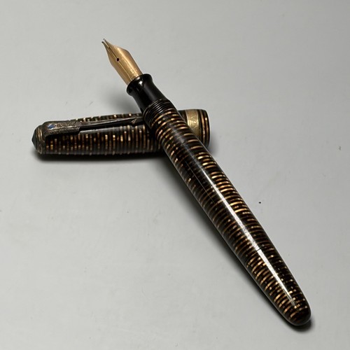 Penna stilografica sottovuoto